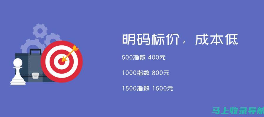 SEO查询入口实战指南：助力网站流量增长